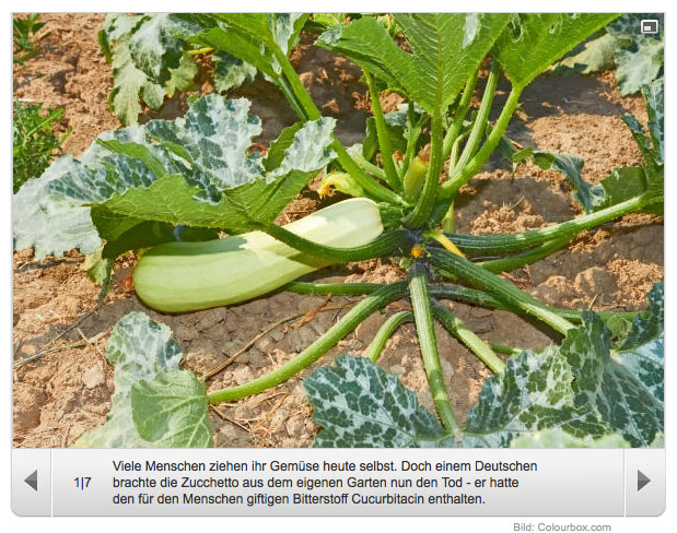 Gemüse anbauen ist gefährlich und muss darum verboten werden!